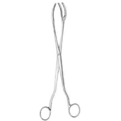 Cheatle Forceps